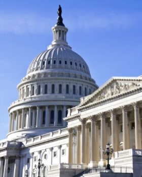 Government