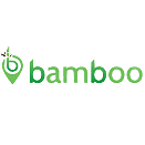 Bamboo