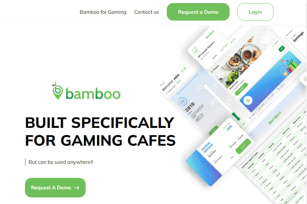 Bamboo
